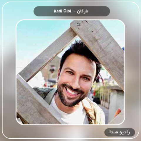 دانلود آهنگ تارکان به نام Kedi Gibi