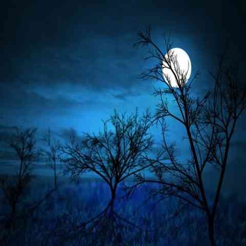 دانلود آهنگ شبا همش به میخونه میرم من سراغ می و پیمونه میرم