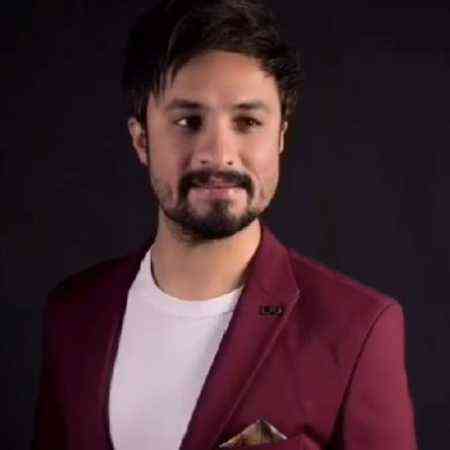 دانلود آهنگ راغب به نام دل دیوونه
