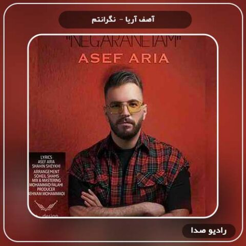دانلود آهنگ نگرانتم آصف آریا