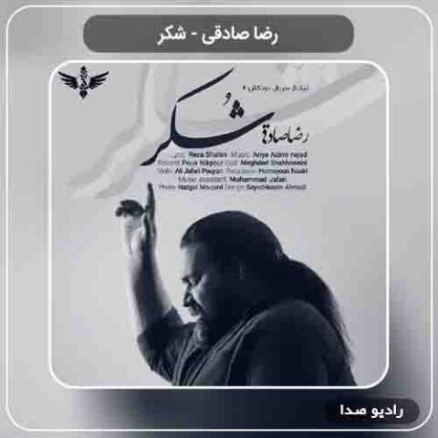 دانلود آهنگ شکر رضا صادقی