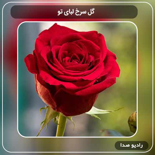 دانلود اهنگ جدید گل سرخ لبای تو به نام یه دمنوشه و آروم میکنه هرمه هوای تو منو