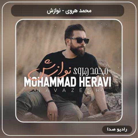 دانلود اهنگ جدید محمد هروی به نام نوازش