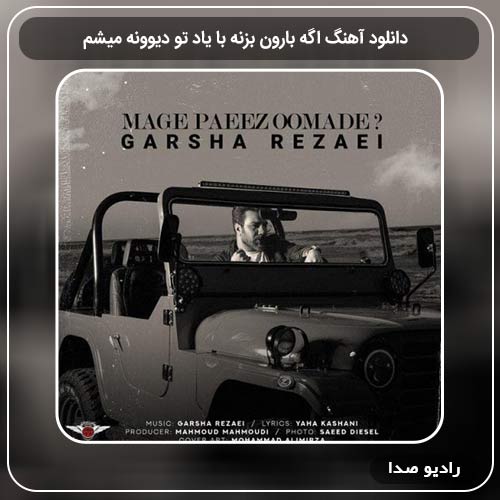 دانلود اهنگ جدید گرشا رضایی به نام اگه بارون بزنه با یاد تو دیوونه میشم