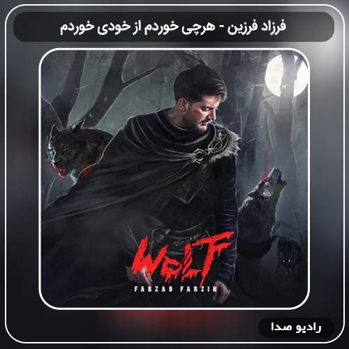 آهنگ جدید فرزاد فرزین به نام هرچی خوردم از خودی خوردم